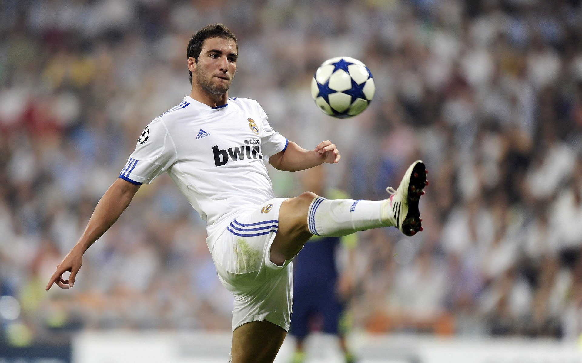 球迷文化盛宴:从欧洲到亚洲的足球狂欢,中国足球球迷文化